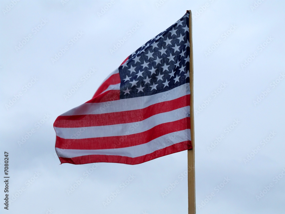 Obraz premium the flag of the USA