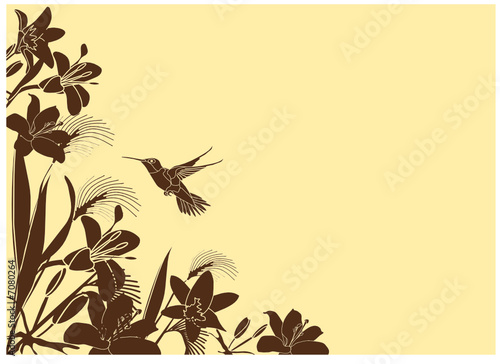 Tropical Flower background with hummingbird 