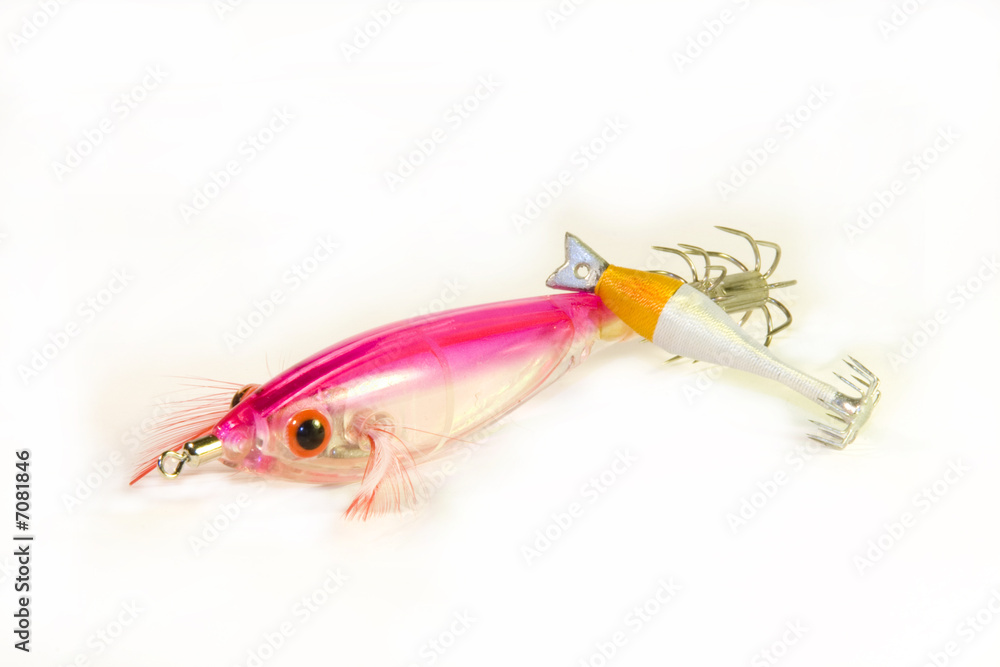Fototapeta premium lure
