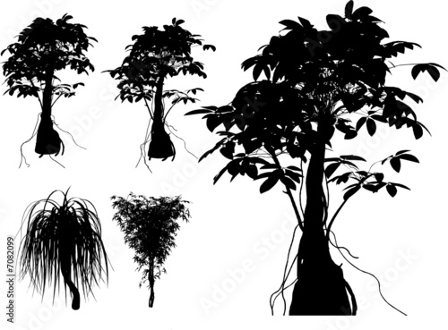 bamboo and other tropical plant VECTOR
