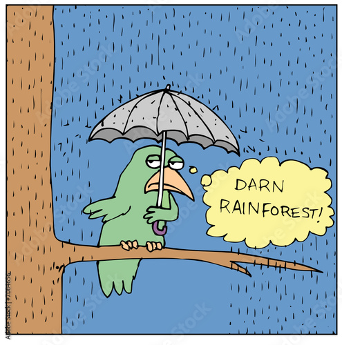 Darn Rainforest