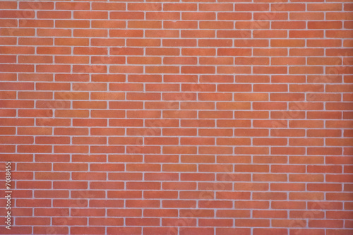 the wall