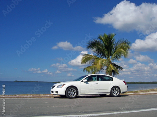 car at the beach © Sheri Armstrong