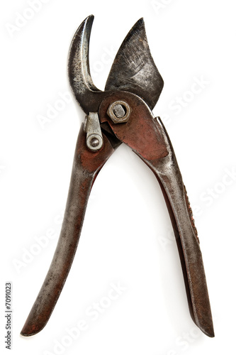 Принти на полотні vintage pruning shears