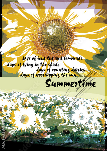 Fototapeta Naklejka Na Ścianę i Meble -  Sunflower on a background of a field