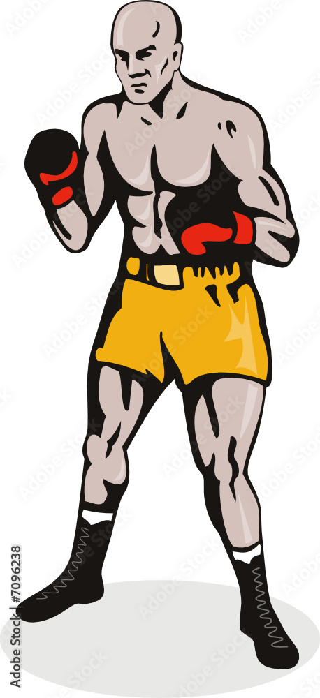 Boxer in fighting stance