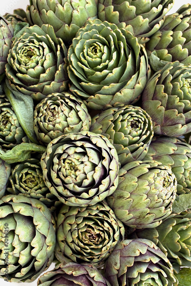 Obraz premium carciofo 4