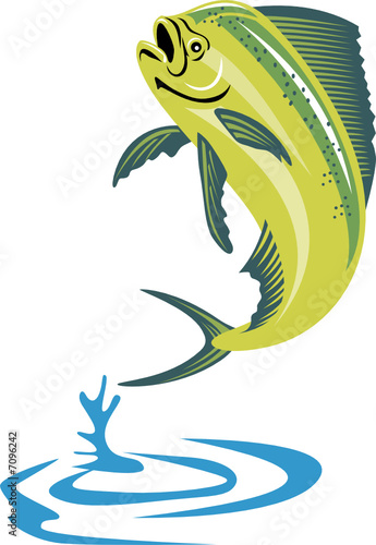 Dolphin fish jumping