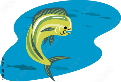 Dorado dolphin fish