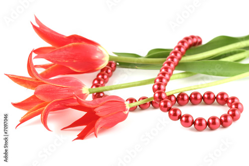 Red tulips and beads on a white background.