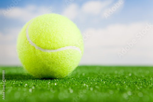 Balle de tennis © Chlorophylle