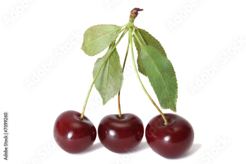Three sour cherries with leaves  isolated on white