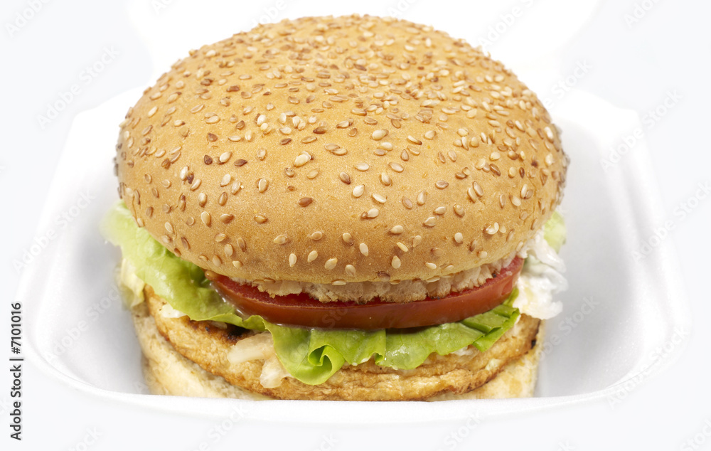 Burger series Burger series