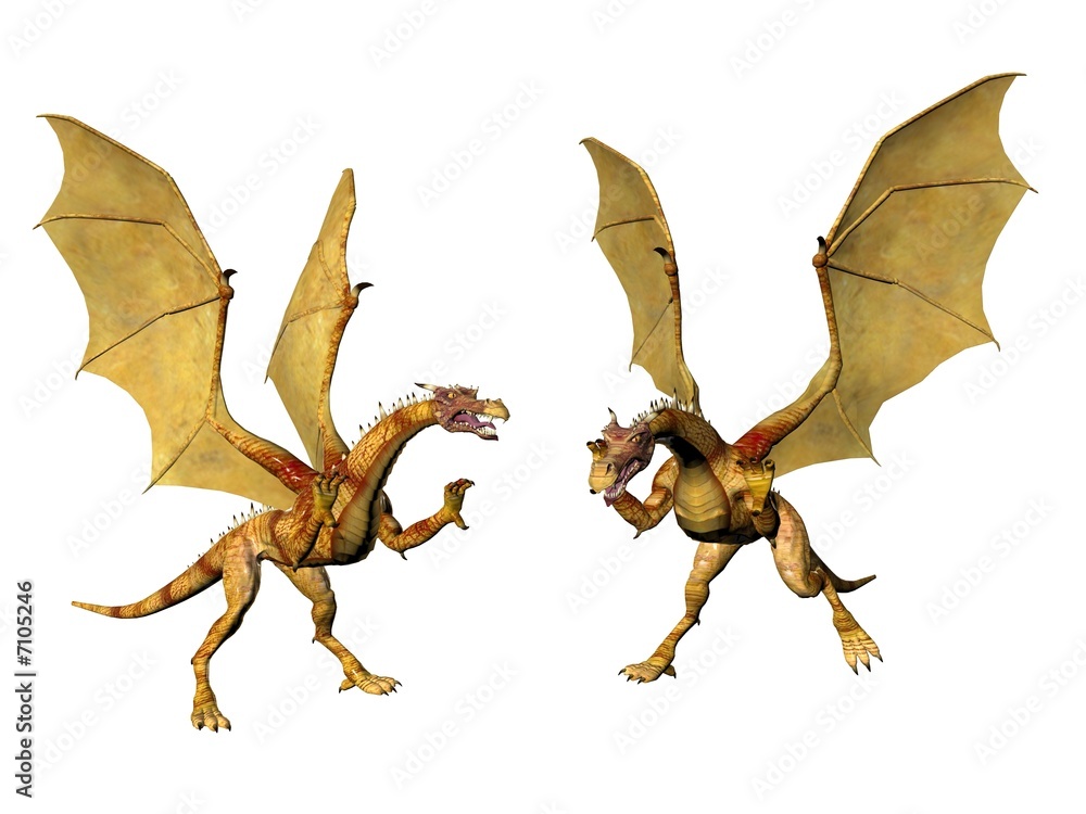 Obraz premium Dragon Pair