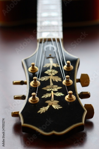 Classic vintage hollow body electric guitar