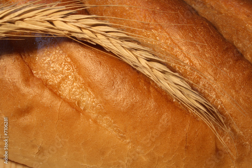 Close-up at wheat ear lying on fresh-baked white bread photo