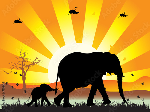 Family of elephants on nature walk, vector illustration