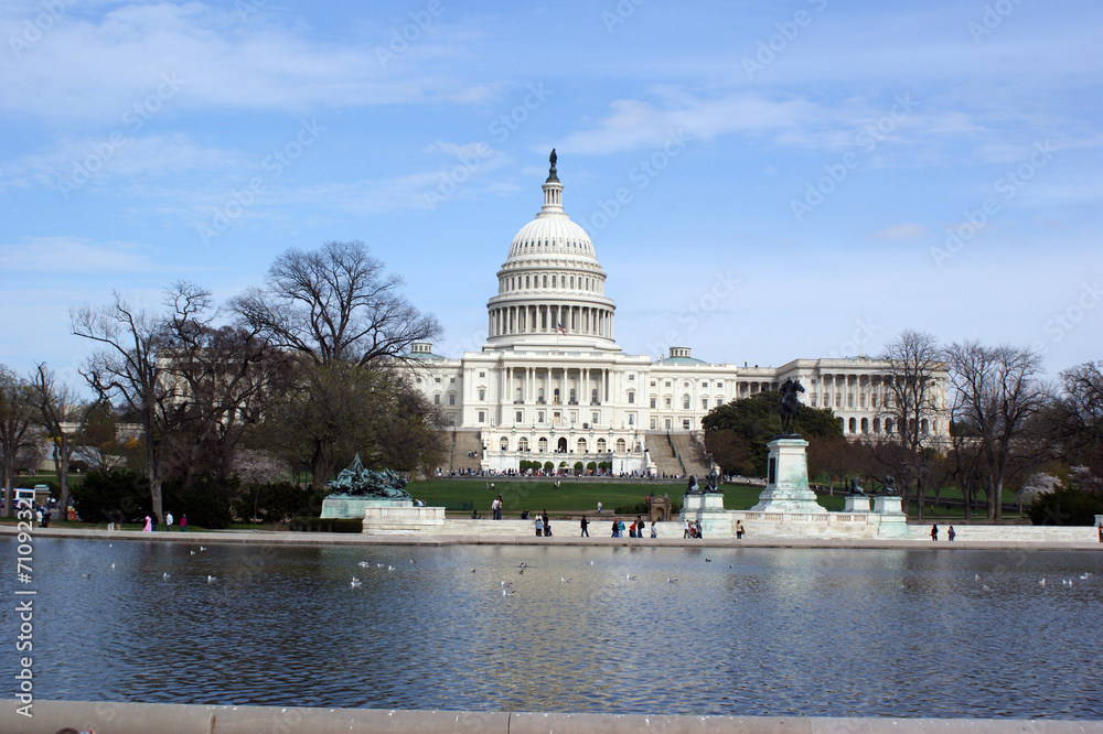 Fototapeta premium Capital Building, Washington DC 