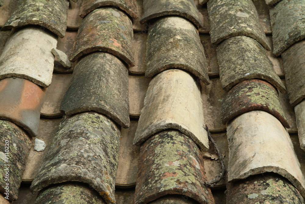 Tuiles sur un toit en Ardèche