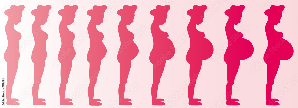 Pregnant Woman (Girl) Months 1-9
