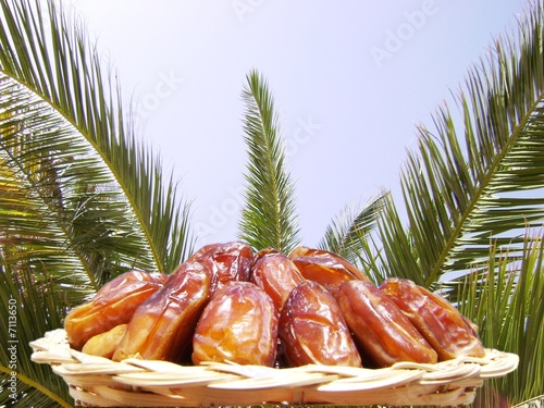 Obraz na płótnie palmiers