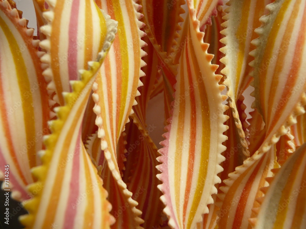 Obraz premium Multicolor striped Italian pastas called mother-in-law’s tongue