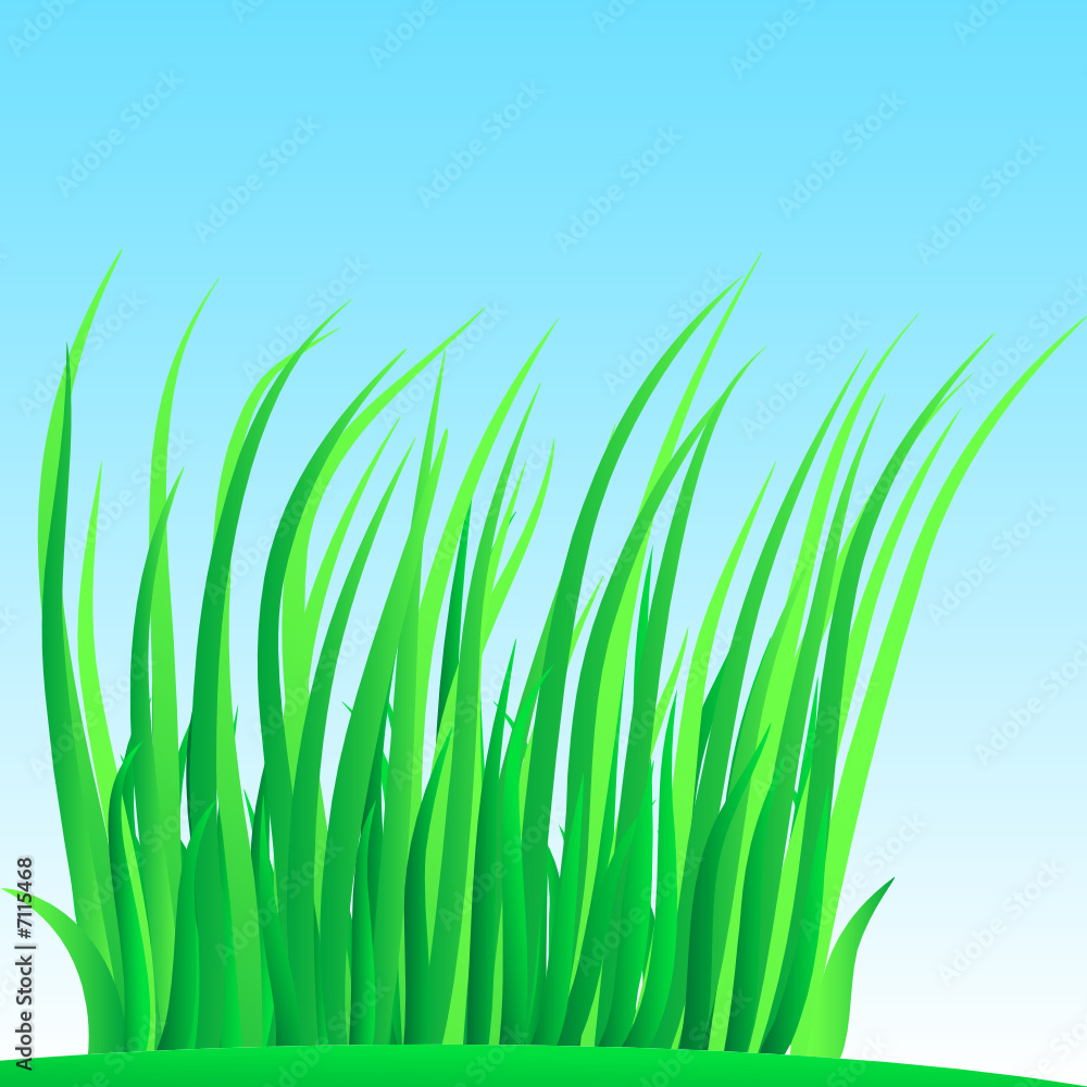 Fototapeta premium Wisp of lush grass.