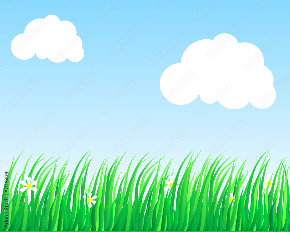 Obraz premium Lush grass.