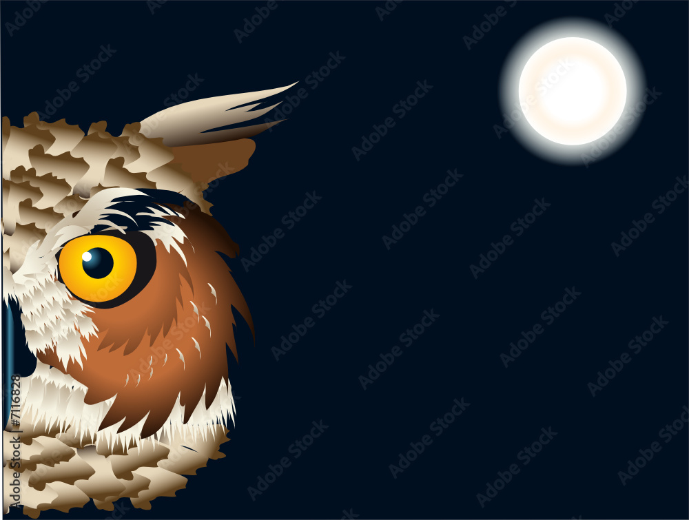 chouette au clair de lune
