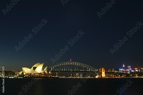 Sydney at night © urosr