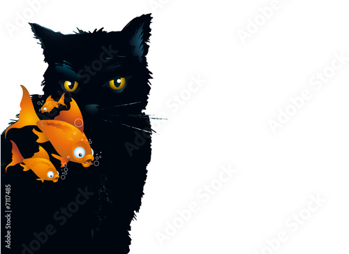 chat et poissons