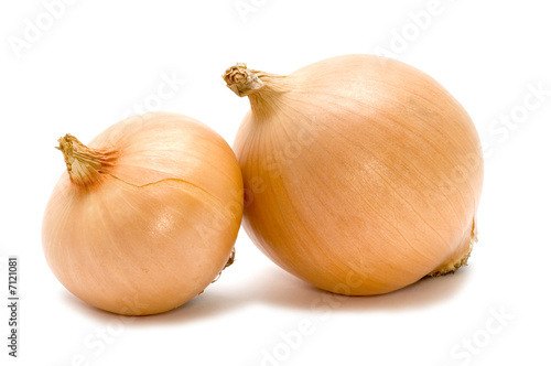 Two bulb onion