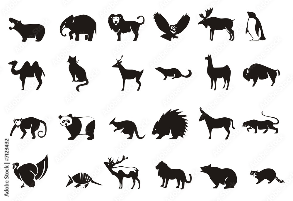 Fototapeta premium Animals