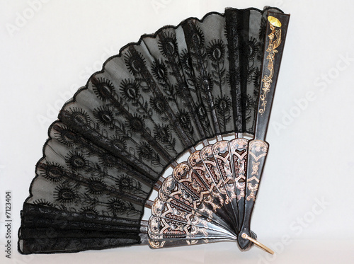 Chinese Hand Fan