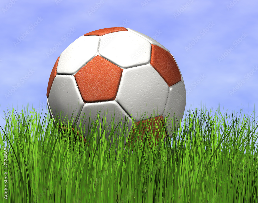 Obraz premium Fußball