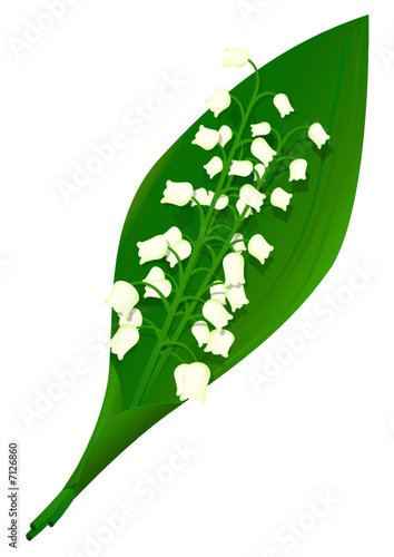 Brin de muguet