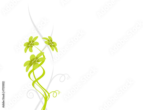 vecteur série - bouquet de fleurs et courbe en été
