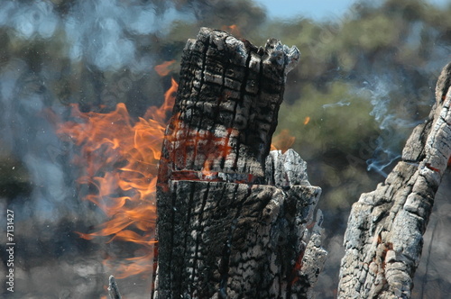 Bushfire