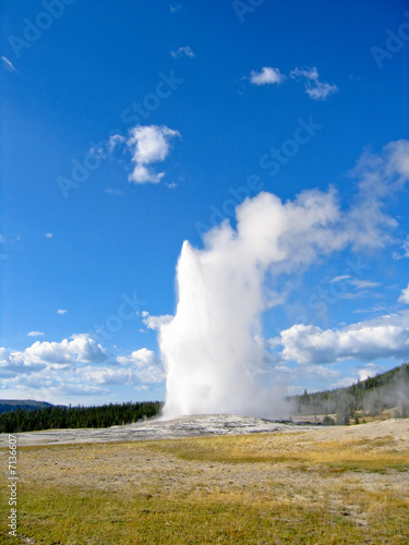 Old Faithful monumental geyser in Yellowston national park