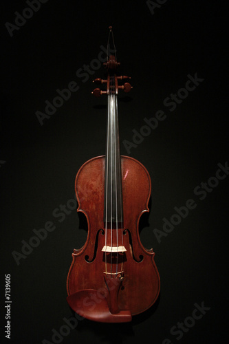 Violon