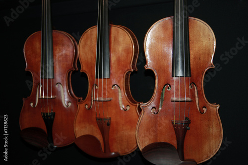 Obraz na płótnie Violons w salonie