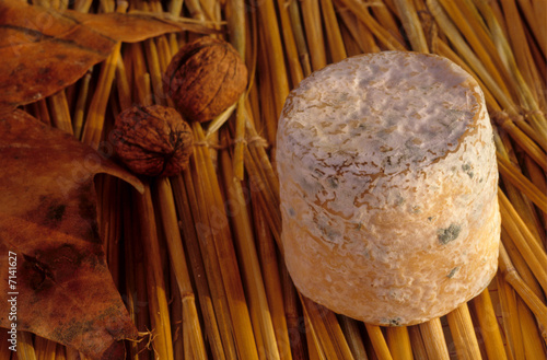 FROMAGE DE CHÈVRE