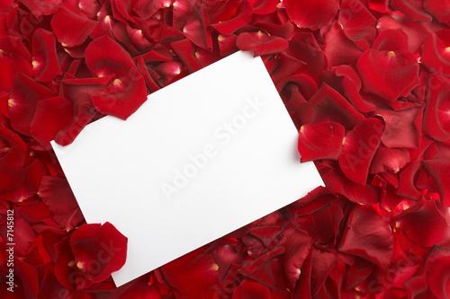 blank gift card in bed of roses