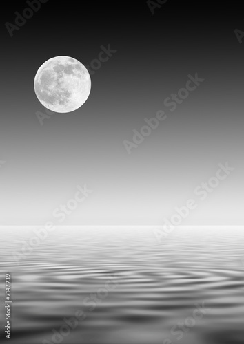 Moon Over Water © marilyn barbone