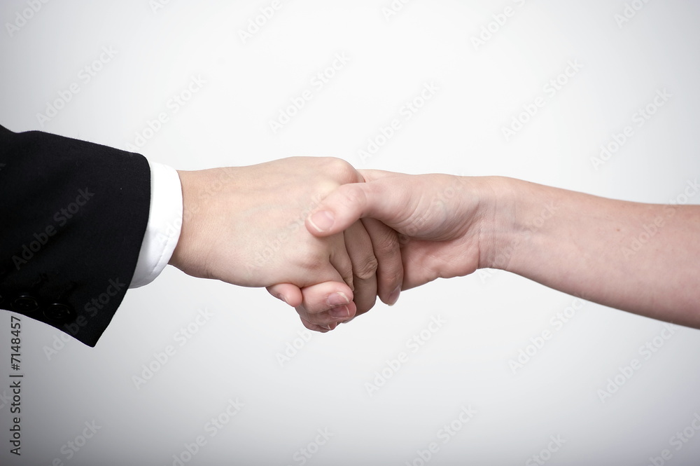 handshake in landscape