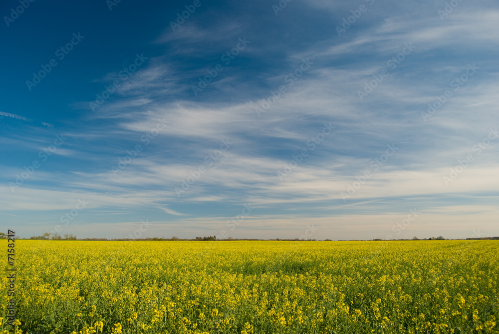 champs de france, terres agricoles