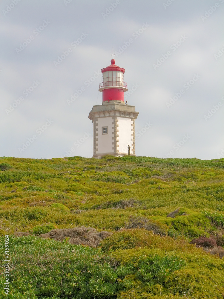 lighthouse with green