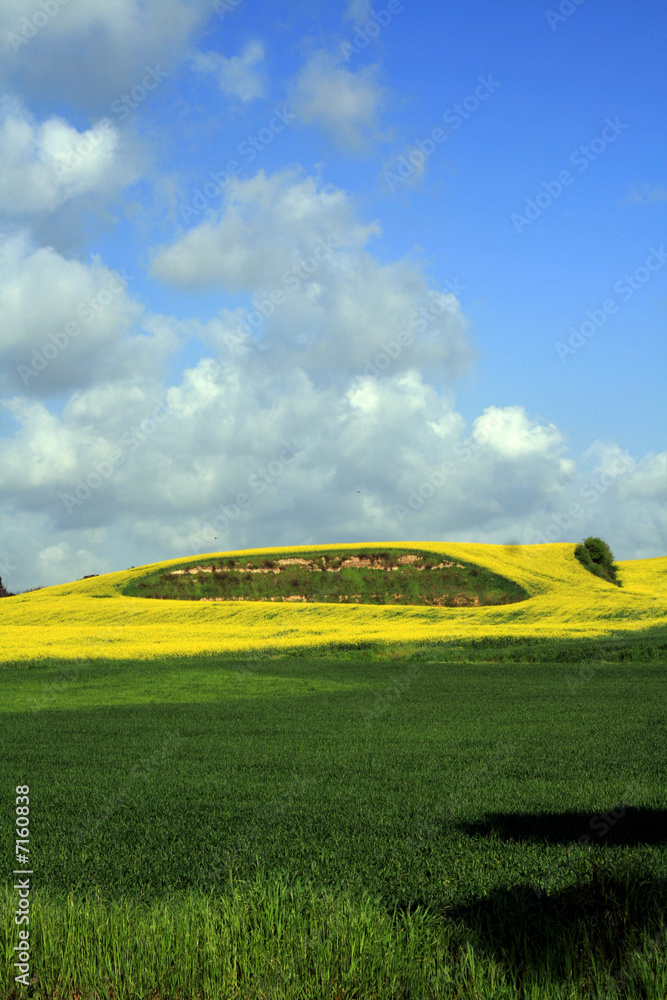 Fototapeta premium Campagna romana a primavera 2