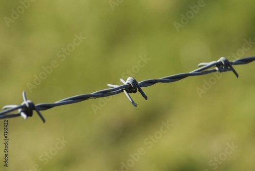 Barbed Wire