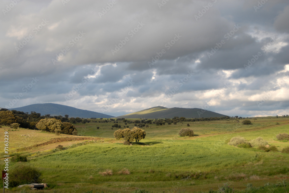 Fototapeta premium Campos de la meseta castellana